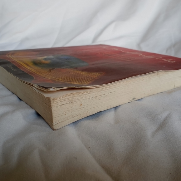 The Tao of Daily Life: The Mysteries of the Orient Derek Lin - Picture 4 of 4